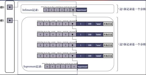 MySQL是怎样运行的 从根儿上理解MySQL学习笔记（一）——互联网域名根服务器运行的启示