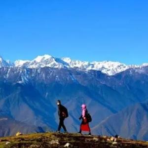 互联网基石 域名根服务器的运作与影响