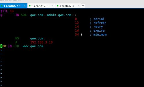 DNS反向解析、主从域名服务器、分离解析与互联网域名根服务器运行机制解析